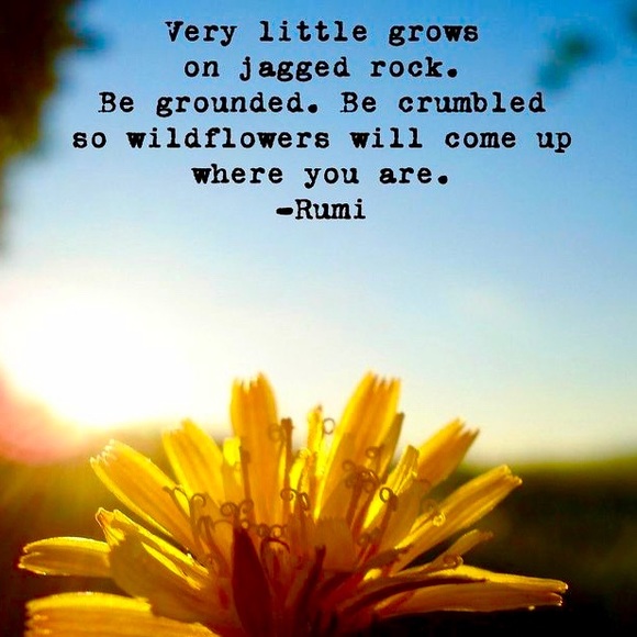 🌻 Bless you! 🌻 - Picture 5 of 13